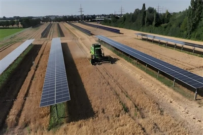 Agrivoltaics Le Lorgairí, Tairgeann Córais Ingearach Buntáiste Eacnamaíoch